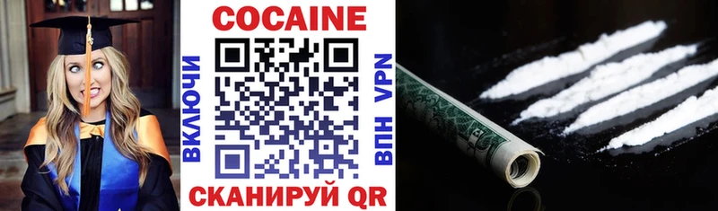 где купить   Губкин  COCAIN Columbia 