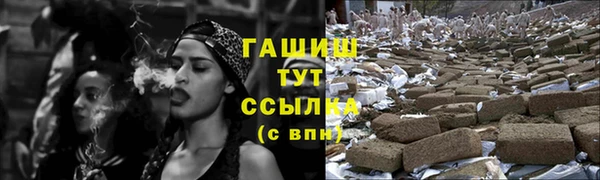 амф Гусев