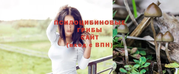 соль ск Семилуки