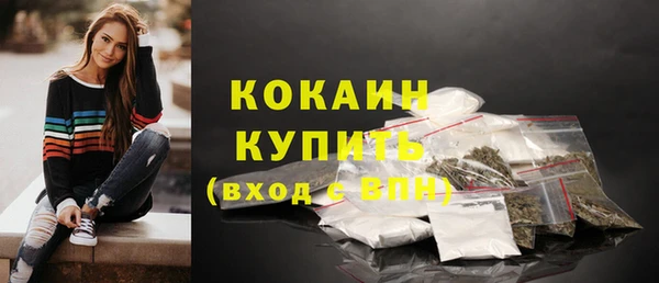 соль ск Семилуки