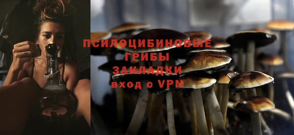 соль ск Семилуки