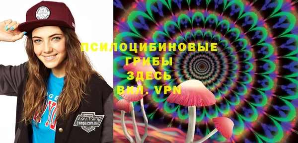 apvp Семёнов
