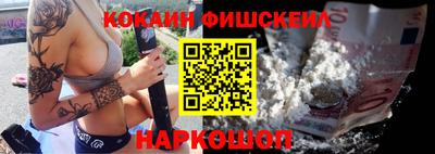 стафф Гатчина