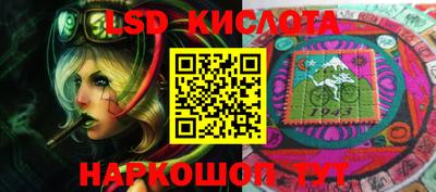 стафф Гатчина
