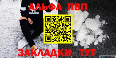 стафф Гатчина