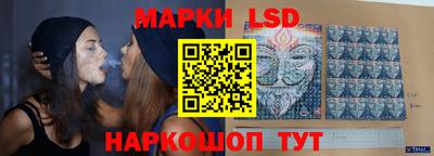 стафф Гатчина