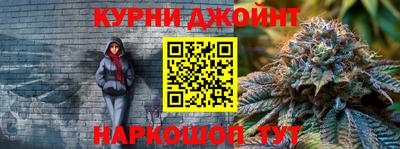 гидра Гусев