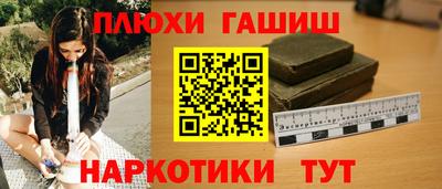 стафф Гатчина