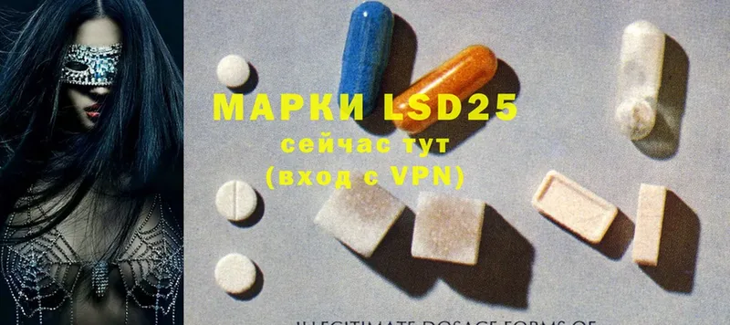 блэк спрут зеркало  где можно купить   Губкин  LSD-25 экстази ecstasy 