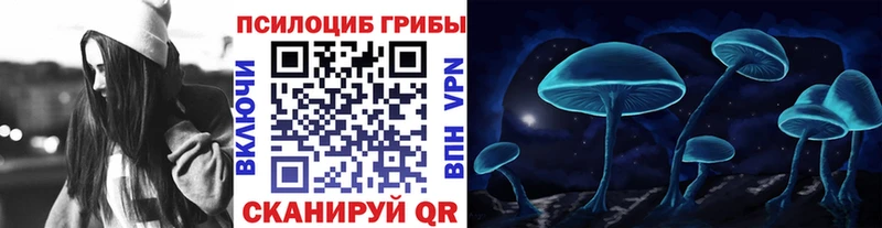 Псилоцибиновые грибы мицелий Губкин