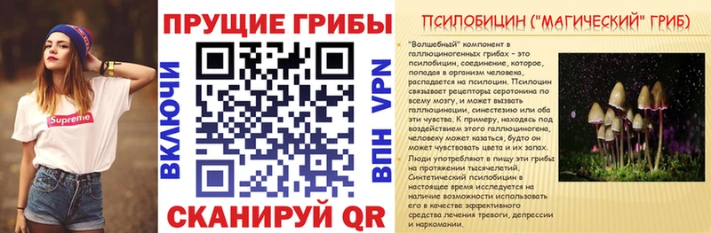Псилоцибиновые грибы ЛСД  ОМГ ОМГ сайт  Губкин 