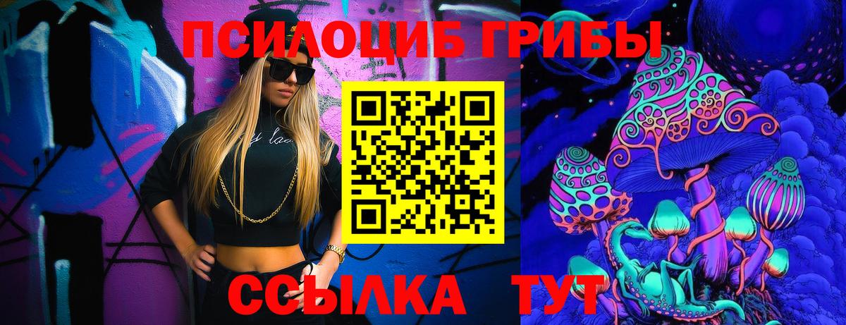 Галлюциногенные грибы Psilocybine cubensis  Губкин  Псилоцибиновые грибы мицелий 