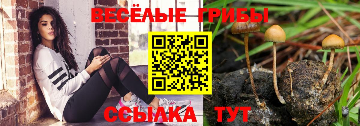 Галлюциногенные грибы прущие грибы  Вход с VPN  Галлюциногенные грибы ЛСД  Губкин 