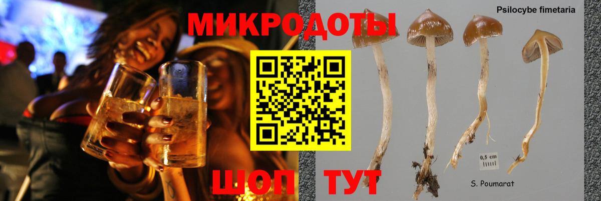 Псилоцибиновые грибы мицелий Губкин