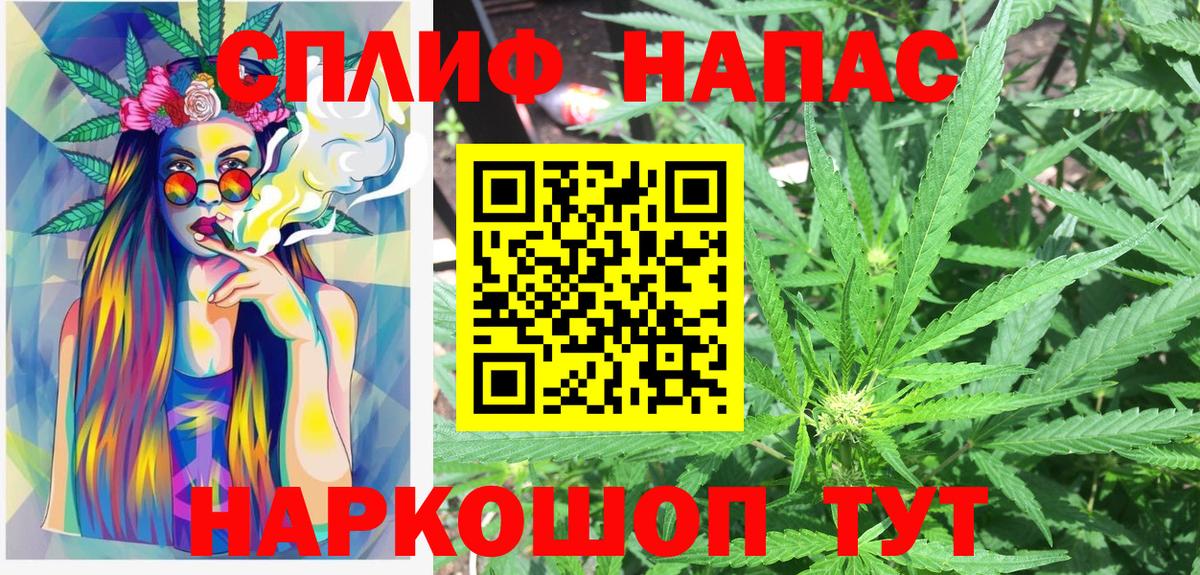 Канабис индика  Бошки марихуана семена  Губкин  Конопля марихуана  Марихуана семена  Вход с VPN 